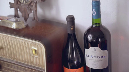 Ensemble d'accessoires pour le vin en boîte en liège - 4 pièces L-1012 